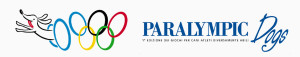 paralympic dogs