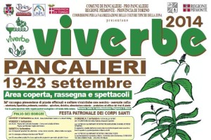viverbe 2014
