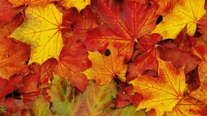 autunno