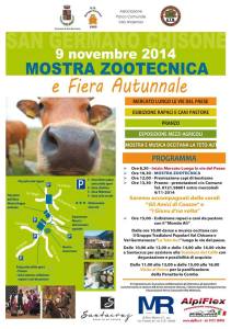 mostra zootecnica san germano