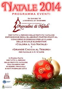 natale 2014 pinerolo