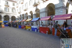 natale varie 2014 pinerolo (4)