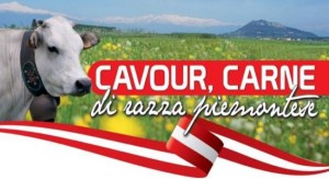 cavour carne 2015