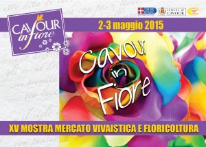 cavour in fiore 15