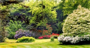 dal parco al castello
