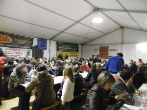 festa di abbadia 2016 (21)
