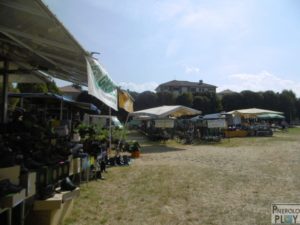 fiera pinerolo 2016 (3)