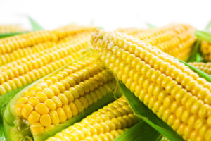 Corn with leaves. Food background